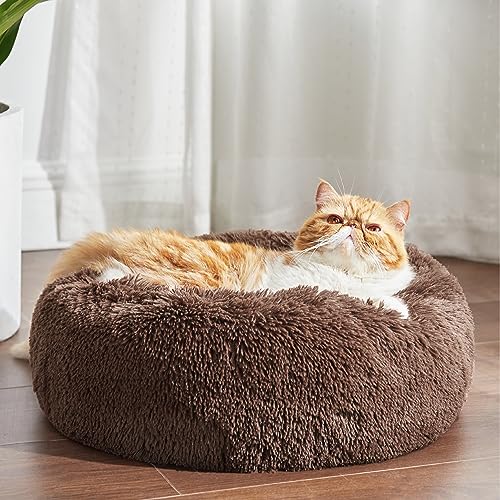 Calming Cat Beds Donut Round Washable Kitten Bed (20"L x 20"W x 6"Th / Coffee)