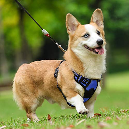 Dog Harness No Pull for Small Dogs with 2 Leash Clips (Small / Dazzling Blue)