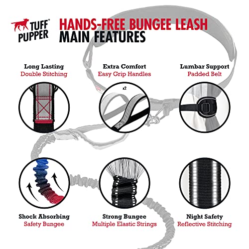 Heavy Duty Hands Free Bungee Dog Leash