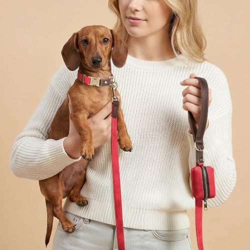 PU Leather Dog Leash for Small Dogs (Red / 5/8"x 5FT)