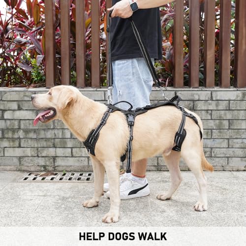 Mobility Dog Lift Harness (Black / XL)