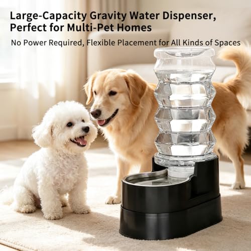 8L Elevated Dog Water Dispenser (8L / Black)