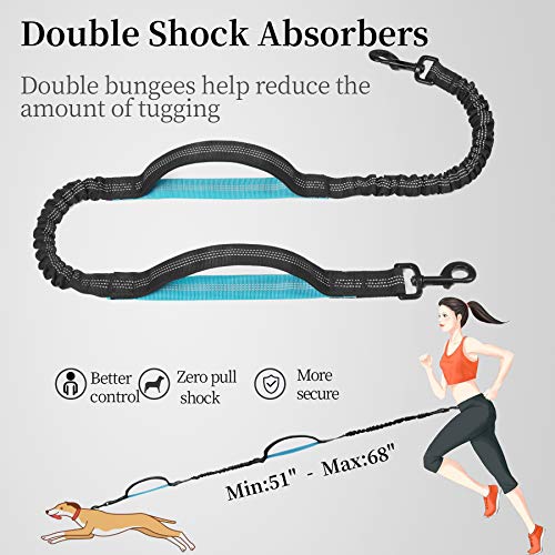Hands Free Dog Leash with Zipper Pouch (Black / Large)