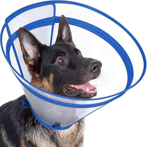 Dog Cone to Stop Licking (Blue / XL(Neck: 16.5"-20.5"))