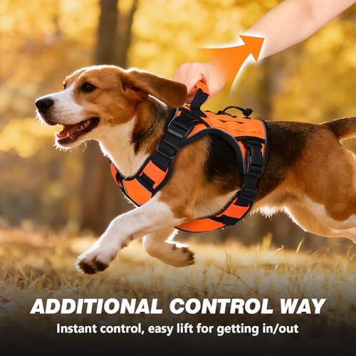 Orange Tactical Dog Harness for Medium Dogs (Orange / Medium: 30-50 lbs (Chest:24-28",Neck:17-19"))