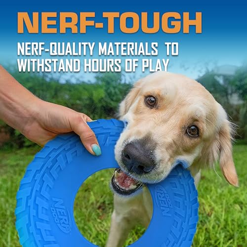 Tire Flyer Outdoor Dog Toy (Blue / 10 Inch)