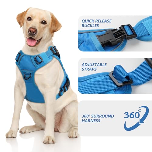 Blue Tactical Dog Harness for Large Dogs (Blue / Large: 45-80 lbs (Chest:27-37",Neck:19-25"))