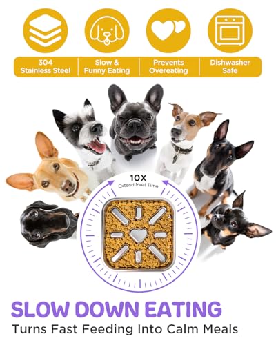 2 Pack Slow Feeder Dog Bowls with Non (2.5 Cup 2 Pack)