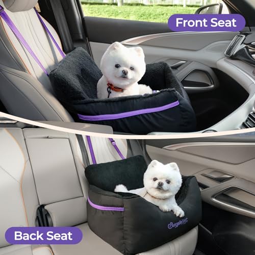 Dog Car Seat for Small Dogs & Cats Under 25 lbs (Black Purple / Small)