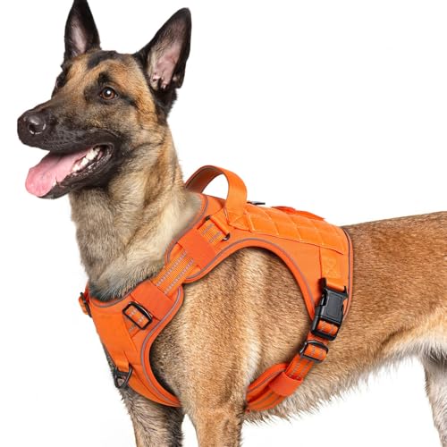 Tactical Dog Harness for Large Dogs (L(Chest:22"-37",Neck:21.1"-30.3",Back:8.3") / Orange)