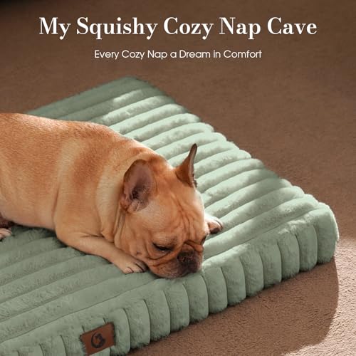 Extra Large Dog Bed Orthopedic Foam with Waterproof Lining (X-L(42"*30"*4") / Light Green)