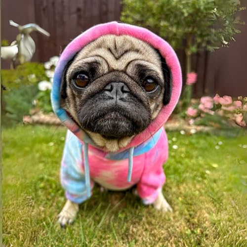 Dog Hoodie Buttery (Snow Cone Skydye / XX-Large)