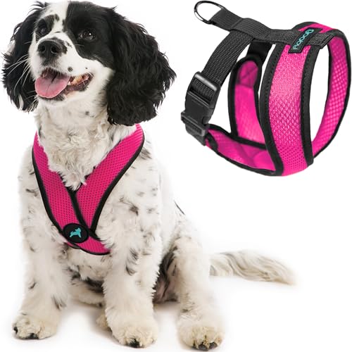 Comfort X Head (Small Chest (11.75-15.5") / Flamingo Pink)