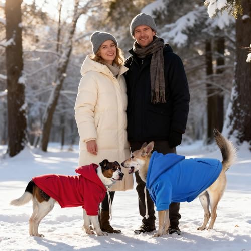 Dog Basic Hoodie Soft Dog Clothes Cold Weather Sweaters for Medium Large Dogs Cozy Fabric Warm Sweatshirt with Leash Hole for Boys (Red / S(Back: 12.6",Chest:18.11", 5-10 lbs))