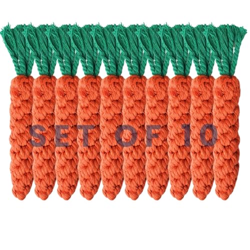 10 PCS Carrot Dog Rope Toys for Dogs (10-Pack)