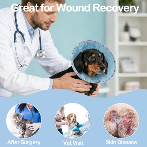 Dog Cone Collar Adjustable After Surgery (Blue / (Neck:8"-10"))