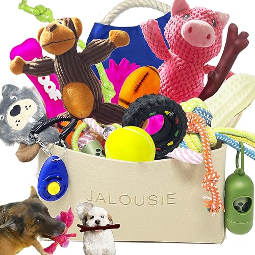 Multipack Dog Squeaky Toys Bulk Bundle Pup Toy (24 PCs Gift Basket)