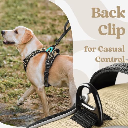 Dog Harness Medium Sized (Medium / Beige)