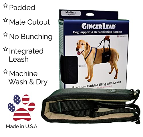 K9 Sling Hind Leg Support (Medium-Large - Unisex)