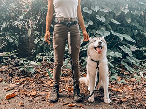 Hands Free Bungee Dog Leash