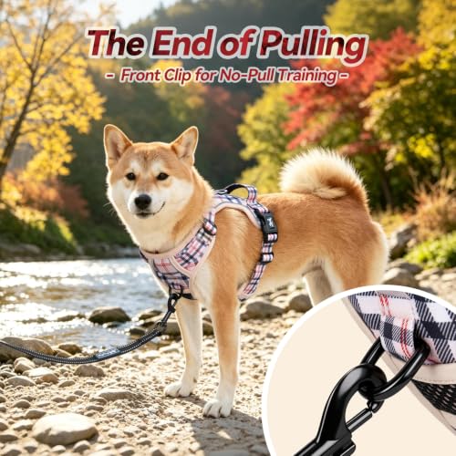Plaid Dog Harness Medium (Medium / Checkered Beige)
