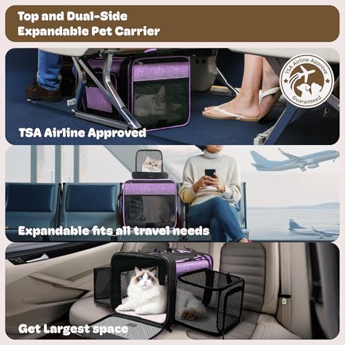 Top and 2 Sides Expandable Pet Carrier 17x11x9.5 TSA Airline Approved (Purple / 17.0"L x 11.0"W x 9.5"H)