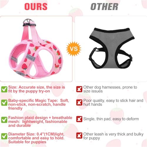 Small Dog Harness and Leash Set (XSmall(Chest Girth 13" - 14.5") / Strawberry)