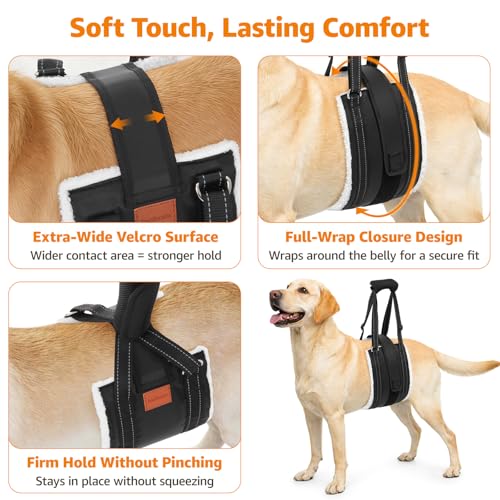 Adjustable Dog Sling for Large Dogs Hind Leg Support ACL Recovery (Medium)