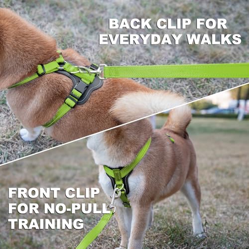 No Pull Dog Harness with Leather Accents (M / Green)