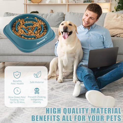 Slow Feeder Dog Bowls for Medium Dogs & Cats (Medium / Navy Blue)