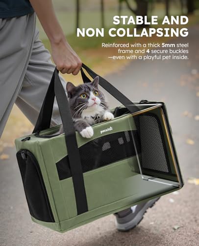 Cat Carrier Stable (Green Regular / 16.9"L x 11.0"W x 11.0"H)
