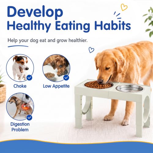 Elevated Dog Bowls Large Breed Raised Dogs Bowl Stand Large (B-White)