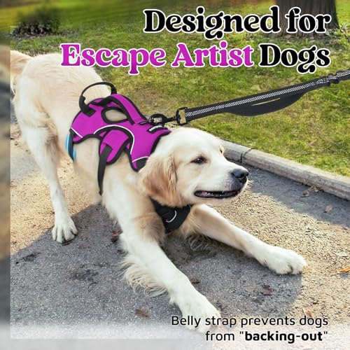 Escape Proof Dog Harness for X (Purple / X-Large)