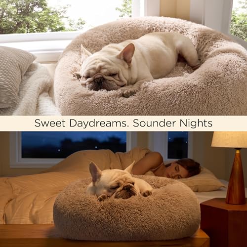 Calming Small Dog Bed Donut Washable Cat＆Puppy Bed (23"L x 23"W x 8"Th / Camel)