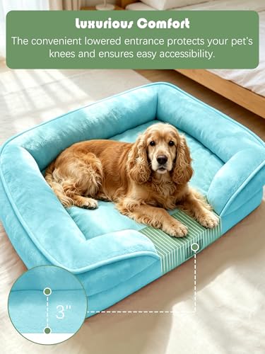 Orthopedic Dog Bed with Sides (35.0"L x 25.0"W x 6.5"Th / Ice Blue)