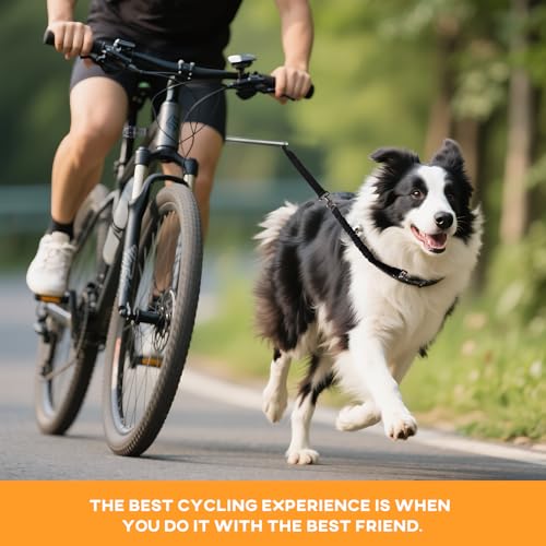 Hands Free Dog Bike Leash for Large Dogs (black)
