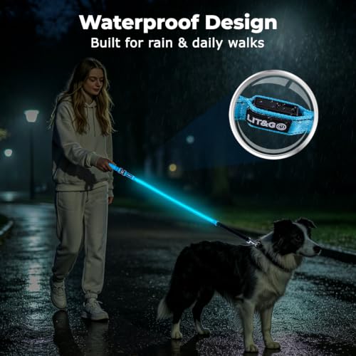 LED Bungee Dog Leash (5 FT, MAX: 6 FT / Pink)