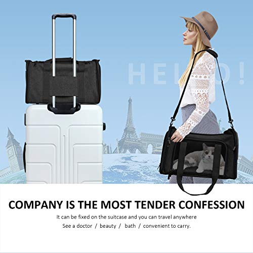 Cat Carriers Dog Carrier Pet Carrier for Small (17.0"L x 11.0"W x 11.0"H / Black)