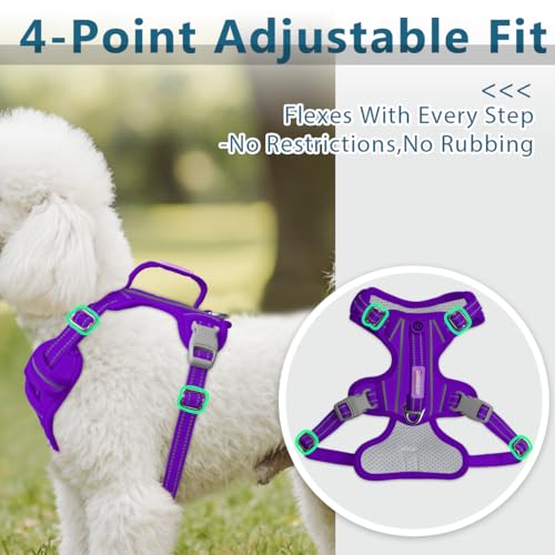 No Pull Dog Harness for Small Sized Dogs (Small(Chest:19.5-26”) / Purple-Oxford)
