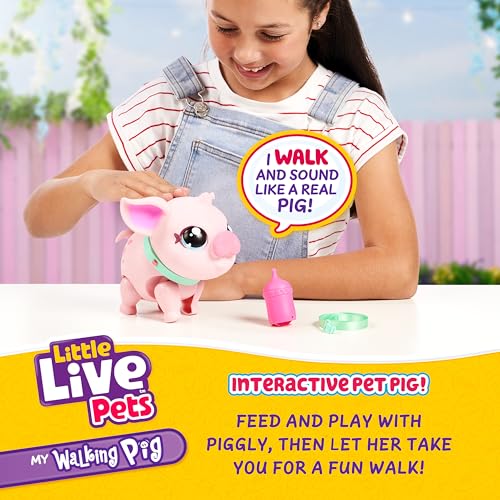 My Pet Piggly the Toy Pig (Walking Pig)