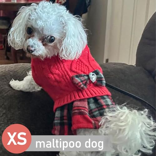 Dog Sweater Dress for Small Dogs Turtleneck Thick Knit Pullover (X-Small (2-4lbs) / 03# Red)