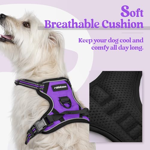 Dog Harness No Pull with 2 Leash Clips (X-Small / Purple)
