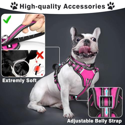 Pet Harness Collar and Leash Set (Medium / Rosy)