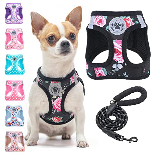 Small Dog Harness and Leash Set (XX-Small(Chest Girth 11.5"-13") / Black Rose)