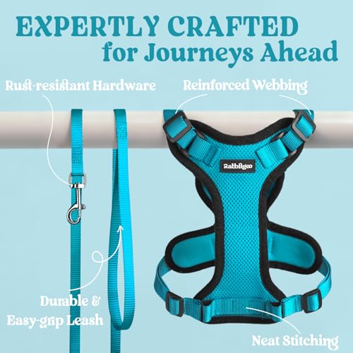 Cat Harness and Leash Set (Xxs / Teal)