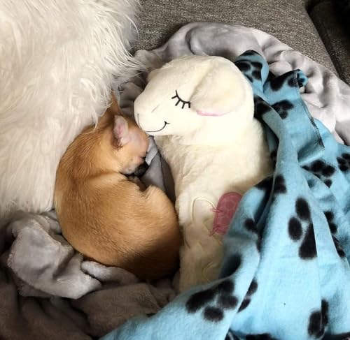 Puppy Heartbeat Stuffed Animal Toy