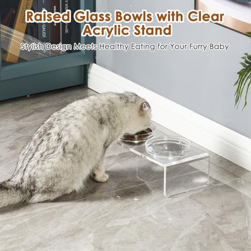 Elevated Acrylic Pet Bowl Stand (Small: 3.75'' Height, 13.7 oz Glass Bowl)