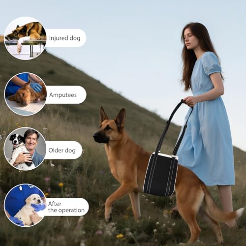 Adjustable Dog Sling Dog Lift Harness Hind Leg Support (Black / S)