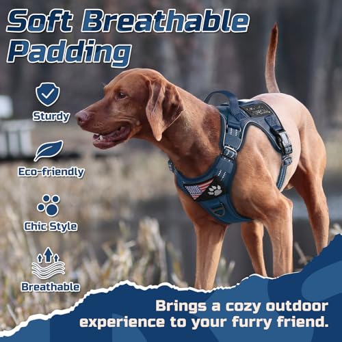 Tactical Dog Harness for X (Blue / X-Large)