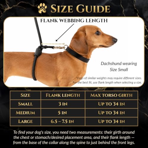 No Pull Hand Free Dog Leash with Wrap (Black / Large)